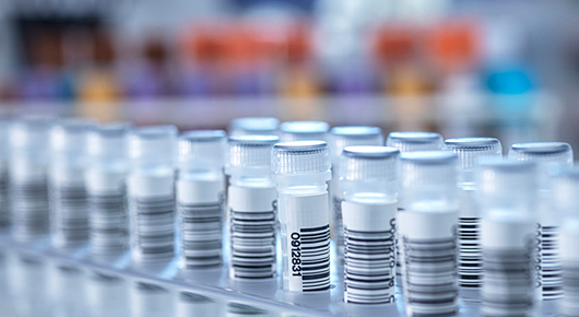 監査通訳・査察通訳サービス